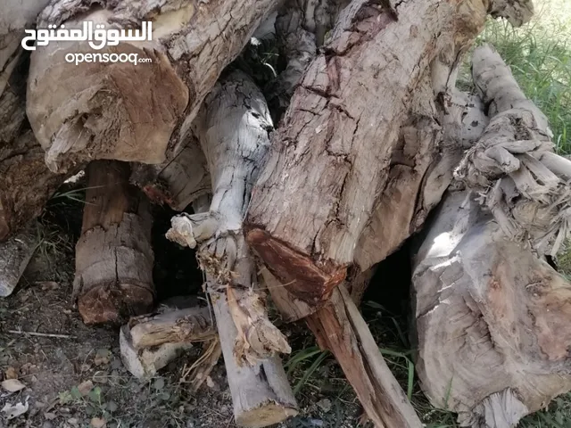 حطب سمر للبيع