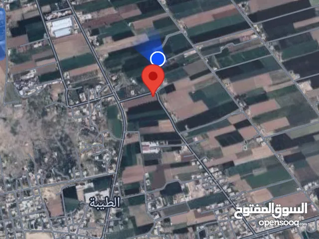 ارض زراعية