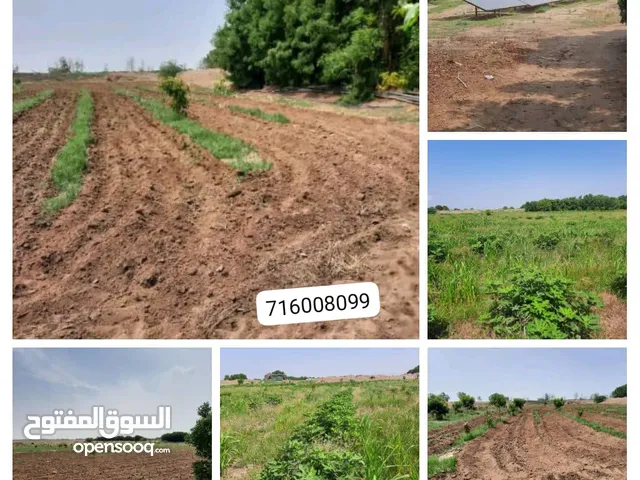 Farm Land for Sale in Al Hudaydah Al-Hali