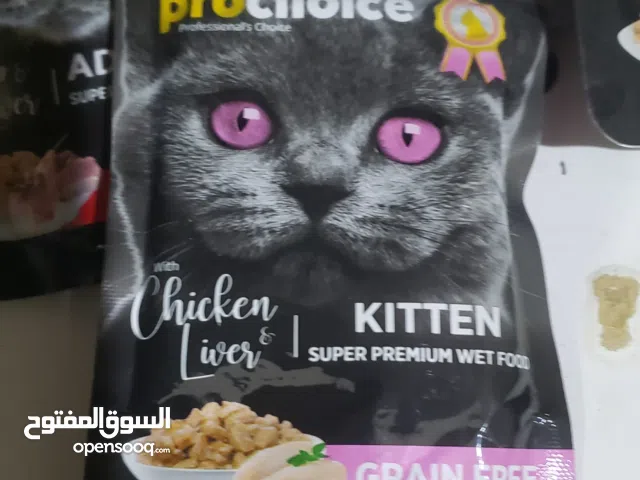 اكل قطط مجفف ورطب انواع مختلفه
