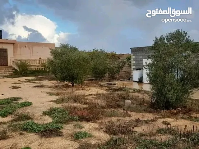 2 Bedrooms Farms for Sale in Benghazi Sidi Khalifa