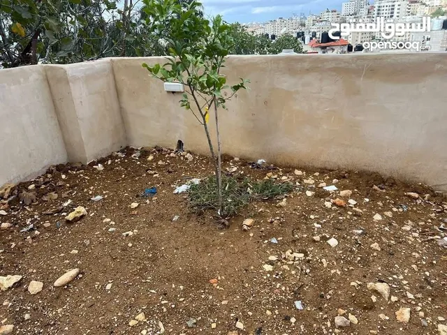 110 m2 2 Bedrooms Apartments for Sale in Ramallah and Al-Bireh Al Manara