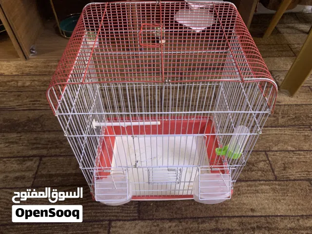 موجود قفص عصافير مع كامل اغراضو ونظيف جدا للبيع فقط 4.00