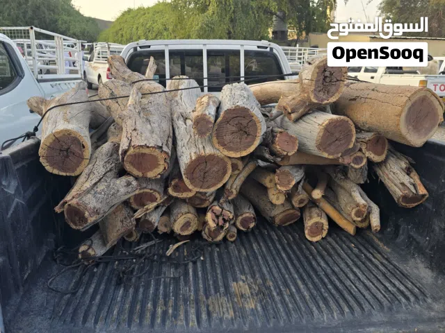 البيع حطب سمر يابس
