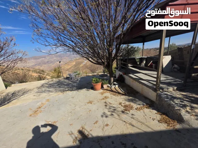 Farm Land for Sale in Salt Al Subeihi