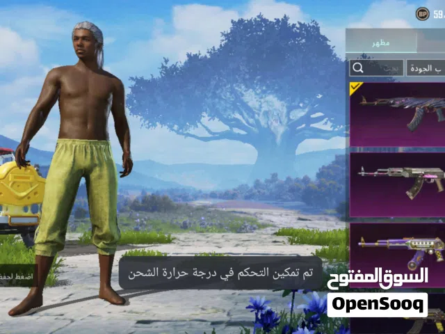 حساب ببجي للبيع السعر حط سعرك واخذه الوصف مهم اقرا