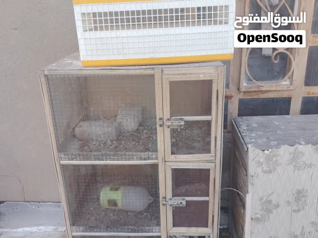 خانات ام ثلاثه كامله جديده بيه جالي مال بگ وصندوگ مال فك. وتور عدد40 السعرالخانات  وقفص الفك