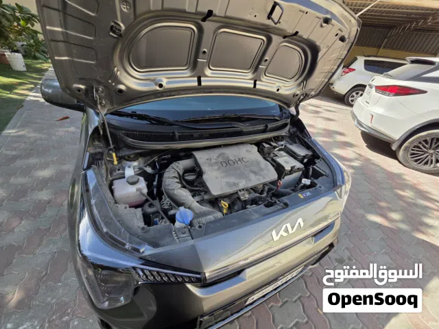 كياء بيكانتو جديد 2025 /7