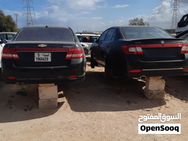 جميع انواع الداو والشفورلية