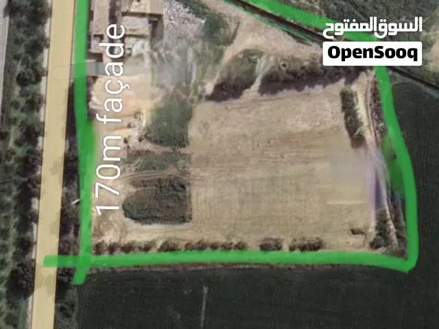 À vendre terrain situé a foundok Ejdid sur la route principale GP1