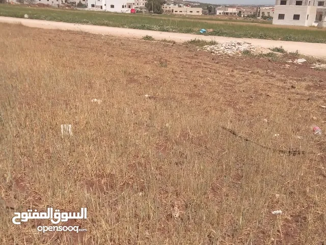 Residential Land for Sale in Irbid Bushra
