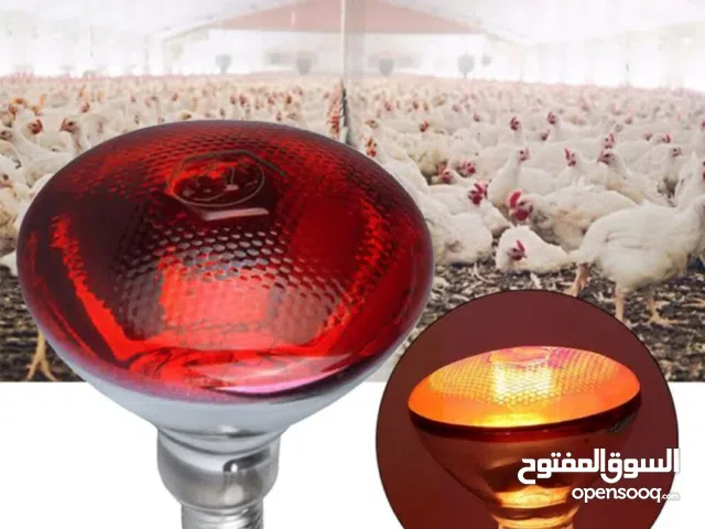 لمبة حرارة لتدفئة