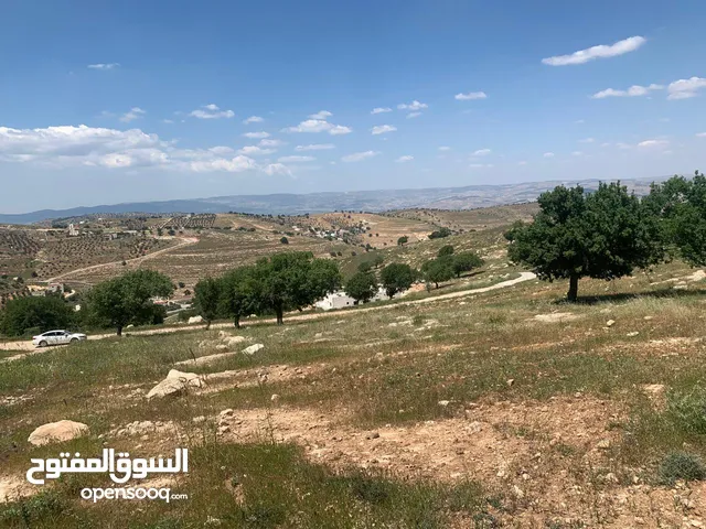 Farm Land for Sale in Zarqa Al-Kamsha