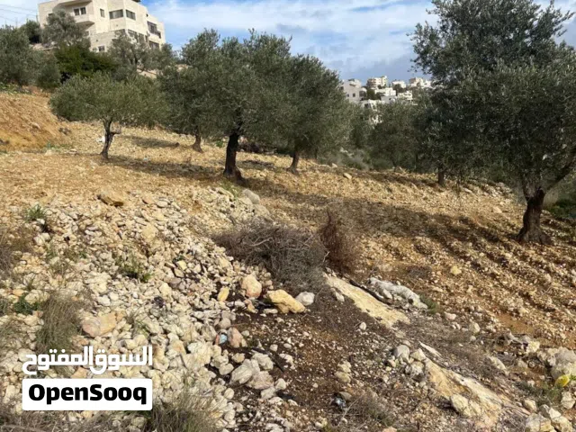 Mixed Use Land for Sale in Ramallah and Al-Bireh Al Mazra'a Al Gharbiya