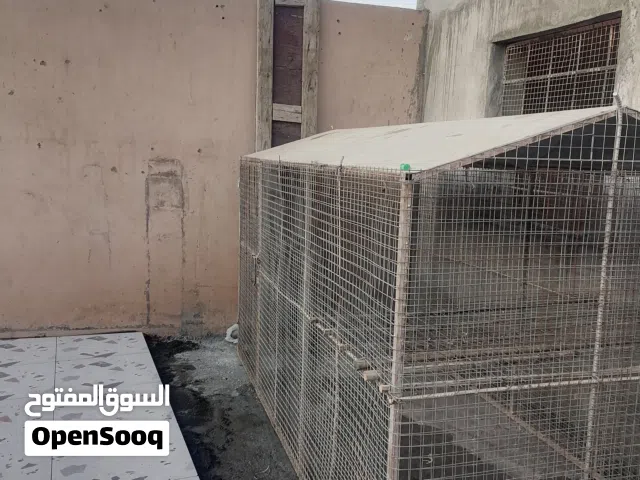 قفص طيور للبيع