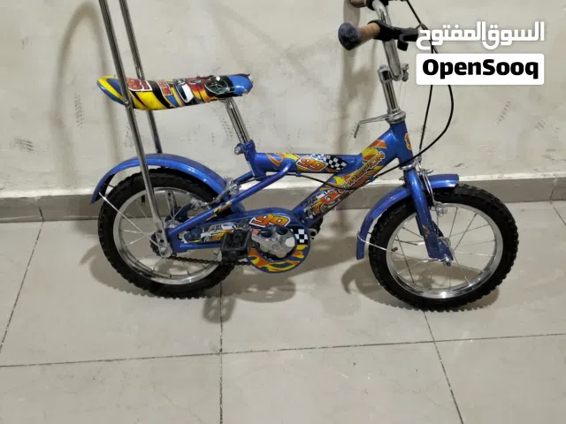 CHAMPION Cycle
