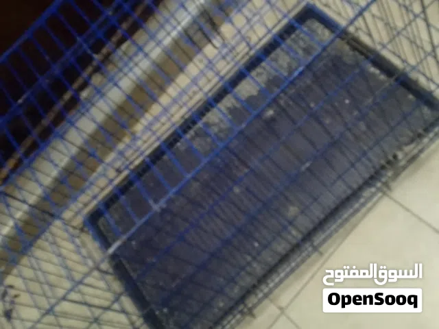 اقفاص حديد حجم كبير للقطط متوفر بيت للقطط