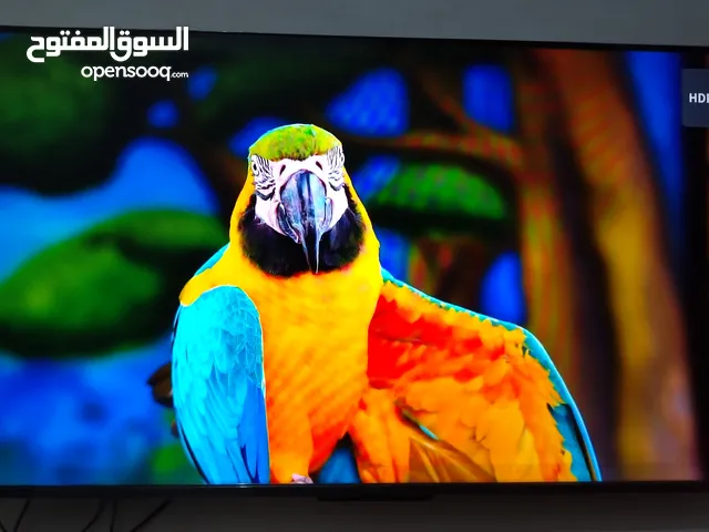 شاشة TCL 43 استخدام نظيف Qled كيو ليد. مامفتوحه. الوان وضوحية فول