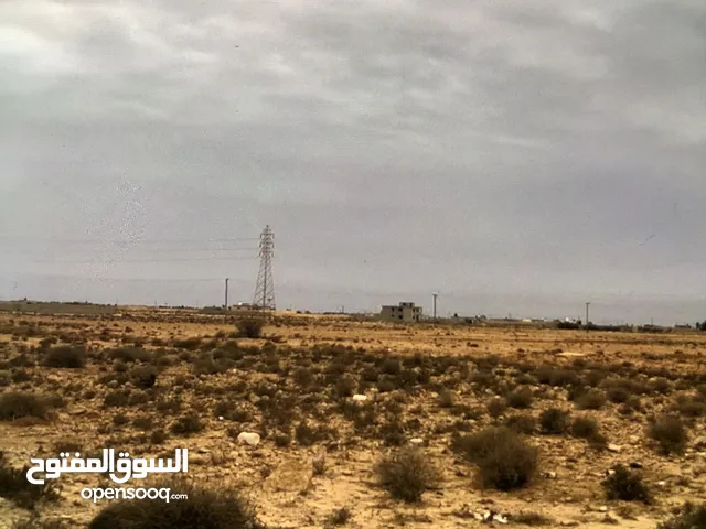 السلام عليكم 3 هكتار علي رئيسي بعد البوابة لكترونيه طريق القوارشة ارض ماشاءالله شهادة عقاريه خضره