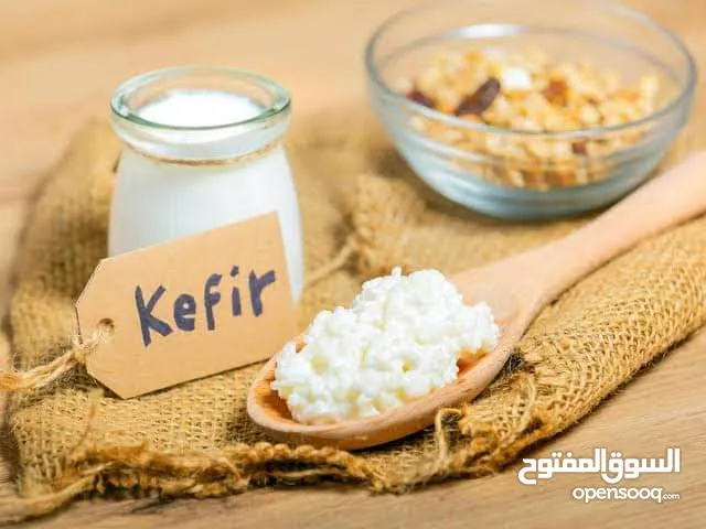 فطر الكفير الهندي الطبيعي متوفر و يمكن مضاعفته يتوفر شرح مرفق بطريقة استخدامه