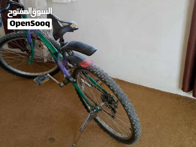 بسكليت نمرة24