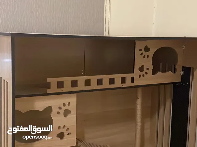 بيت قطوه او كلب