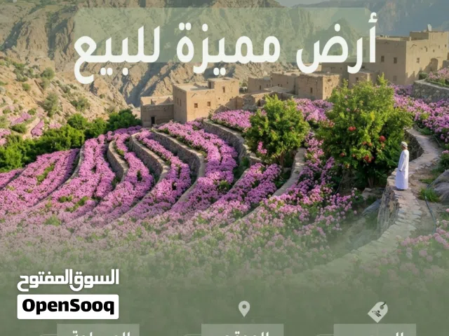 أرض مميزة للبيع في الجبل الأخضر