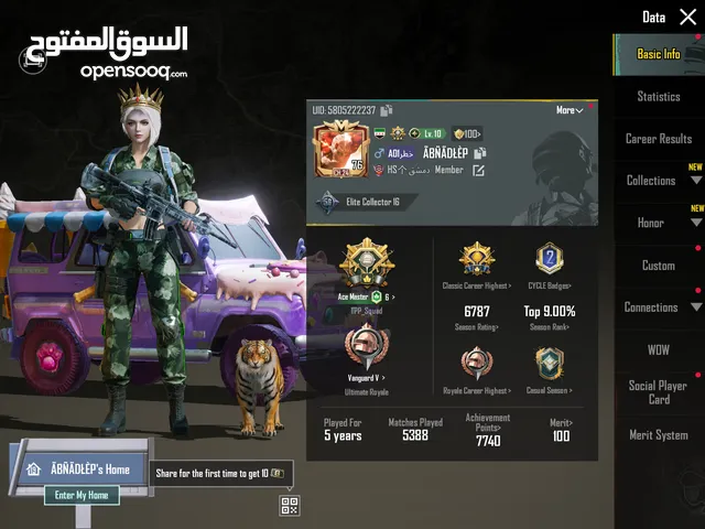 Pubg Accounts and Characters for Sale in Dubai