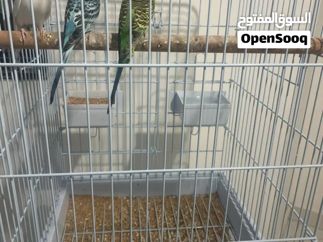 للبيع قفص استعمال 3ايام فقط