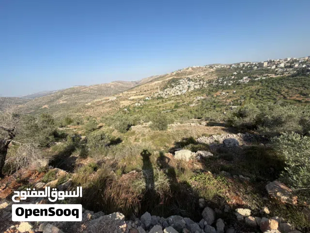 Residential Land for Sale in Ramallah and Al-Bireh Abwein
