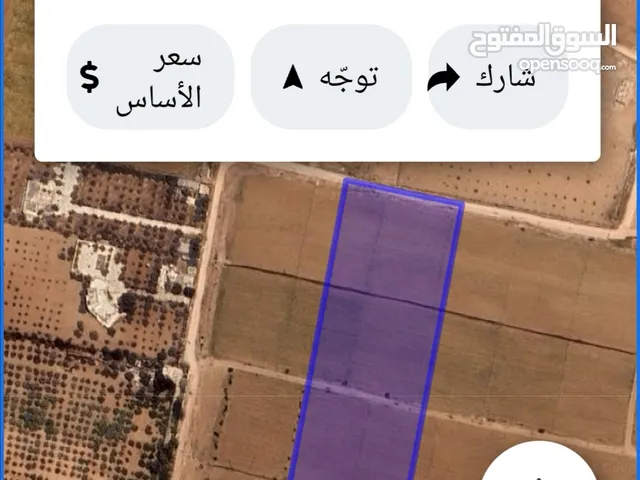 للبيع قطعة أرض 11.8 دونم في الذهيبه الغربيه مخدومه