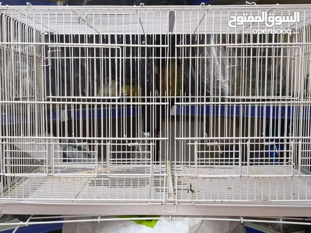 اقفاص طيور كاسكو وقفصين مزدوج ومطير كبير بسعر مغرب