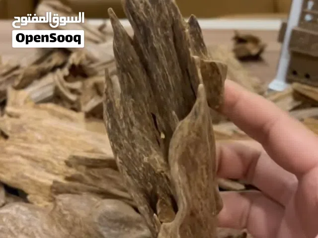 خشب عود ودهن عود اصلي