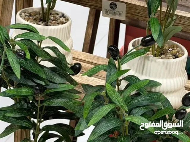 ديكور شجره الزيتون