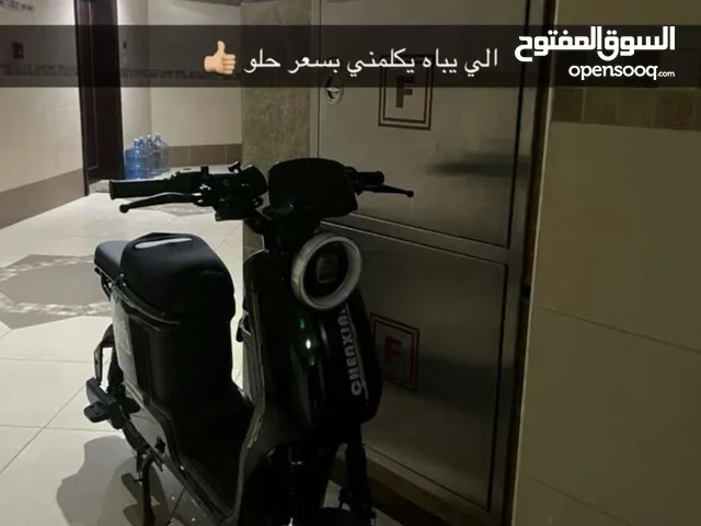 CHENXIAN SPORT 009. سكوتر كهربائي