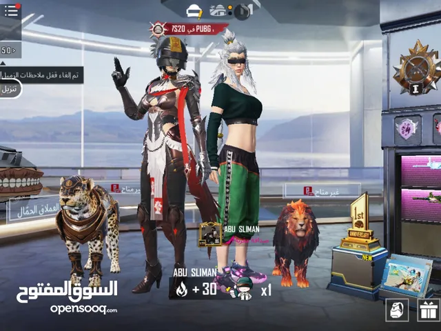 Pubg Accounts and Characters for Sale in Sharjah