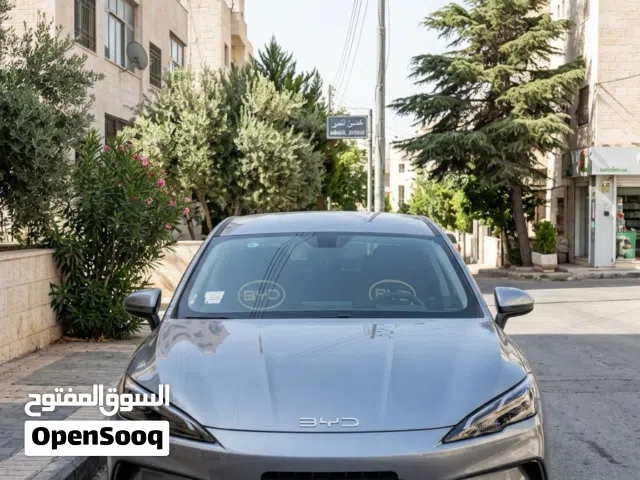 2025 بي واي دي سيل