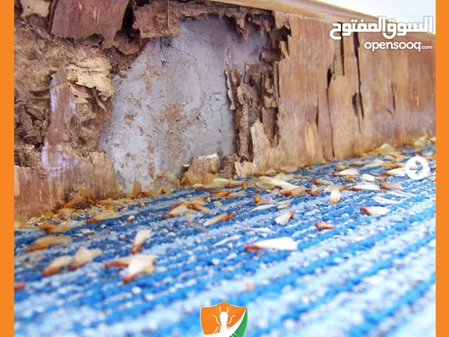 مكافحة الرمة ومكافحة جميع انواع الحشرات عقود سنوية