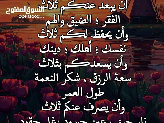 3عجلات نخب اول شركه عمر 10و11و9