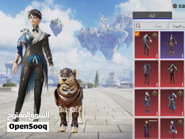 Pubg Accounts and Characters for Sale in Zintan