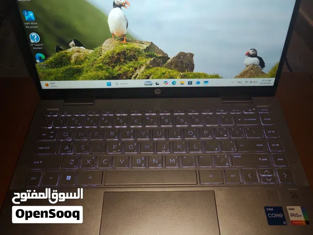 HP Pavilion x360 2-1