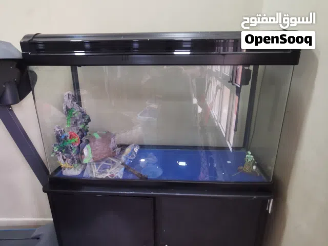 حوض سمك مستعمل بحاله شبه جديده حجم كبير مع ملحقاته من شعب مرجانيه وحصى للارضيه