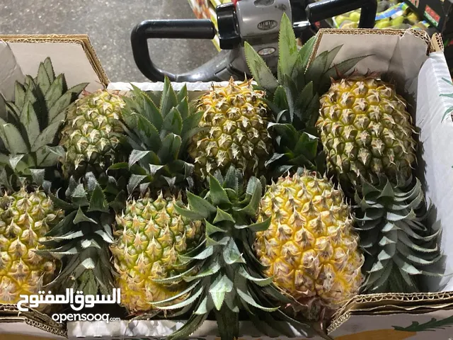 مشروع تجاري مربح بحاجه لتمويل