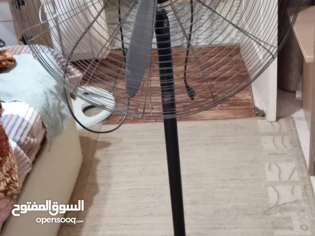 مروحه جديده كليا