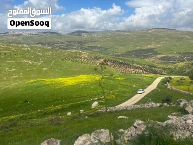 Farm Land for Sale in Zarqa Al-Alouk