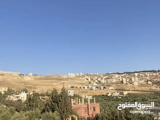 أرض للبيع أ مساحة991 م على شارعين، إطلالة بانورامية مميزة ضمن إطلالة شارع الأردن،تصلح للسكن والاستثم