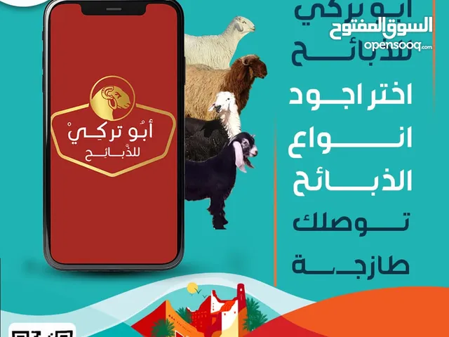 ابو تركي للذبائح # ذبايح الرياض #توصيل ذبايح #حري نجدي نعيمي