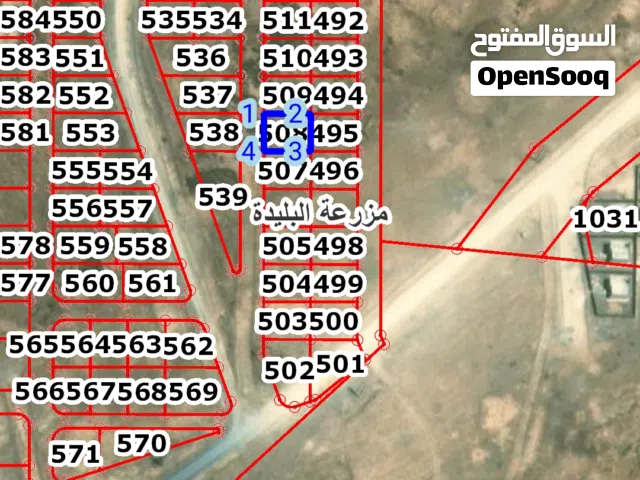 ارض سكنية داخل التنظيم الاغوار ( مزرعة البليدة)- منطقة النعام ذات اطلالة بانورامية