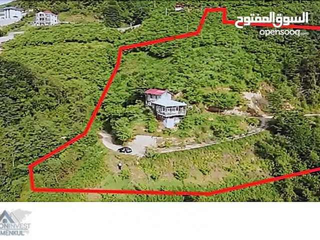 LAND FOR SALE IN TRABZON ARSIN