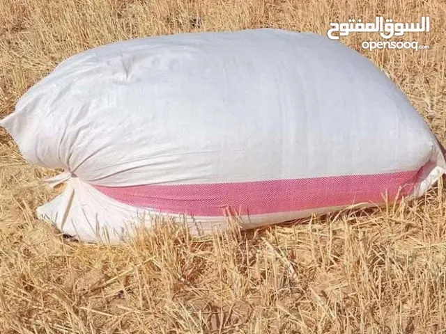 تبن قمح ابيض دراس السنه للبيع والشراء ما بقصر معه